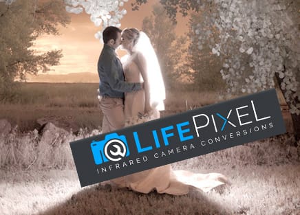 Featured in: Life Pixel Infrared