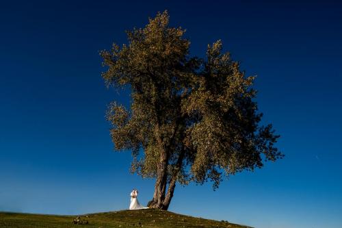 highland meadows big red barn